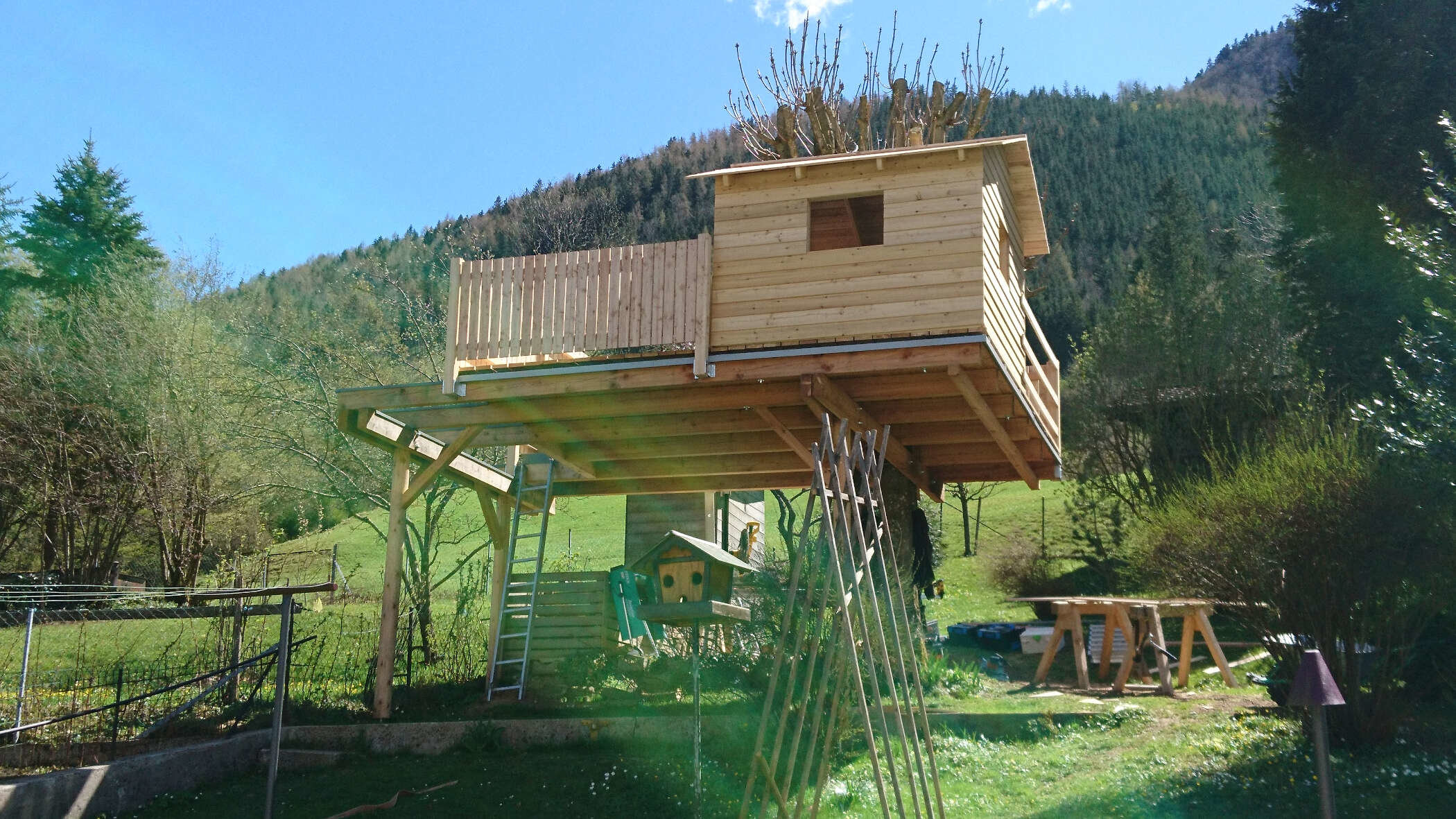 Baumhaus von Holzbau Haider